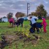 Vor zwei Jahren hat der Gartenbauverein Unterstall/Attenfeld einen Naschgarten angelegt.