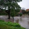 An der Stadtbrücke in Görlitz stehen Bäume im Hochwasser der Neiße.