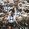 Viehscheide beim Alp- und Almabtrieb beenden die Weidesaison, doch durch die Tierschutzreform der Ampel-Koalition ist die Kombihaltung aus Weide und Stall vielfach bedroht.