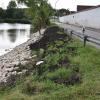 Bevor die Bauarbeiten an der Weiherbachbrücke und an der Kreisstraße in Kaisheim starten, wurde nun das Ufer des Hopfen- beziehungsweise Seerosenweiher befestigt.