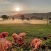 Die Morgenstimmung zeigt sich auf einer Wiese in Gabelbach. 