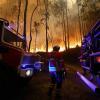 Portugal wurde in diesem Jahr von den schlimmsten Waldbränden seit 2017 heimgesucht.