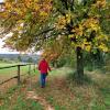 Eine halbe Autostunde von Neuburg entfernt kommen Naturfreunde auf den Wanderwegen rund um Eichstätt auf ihre Kosten. 