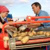 Im Oktober stand für viele Bauern die Kartoffelernte im Mittelpunkt.  