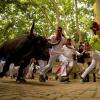 Die berühmteste Stierhatz Spaniens findet in Pamplona statt. (Archivbild)