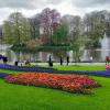 Die Tulpe steht für Holland wie die Windmühle oder der Käse: Besonders prachtvoll in Szene gesetzt wird sie jedes Jahr im Keukenhof, nördlich von Leiden.