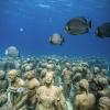 Die Unterwasser-Statuen von Jason deCaires Taylor sind spektakulär.