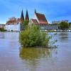 Das Wasser der Oder steht noch sehr hoch in Frankfurt.