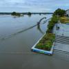 Land unter - die Wassermassen reichen an die Oderpromenade in Frankfurt.