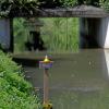 An einer Unterführung des Anhauser Bachs wurde der Höchststand beim Hochwasser Anfang Juni mit einer Badeente markiert. Bei einer Bürgerversammlung in Diedorf gab es nun Antworten auf die Frage, was damals genau geschehen war.