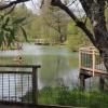 Auf der Etappe von Pétange nach Differdange: idyllischer Dorfweiher in Lasauvage.