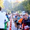 Tausende Menschen sind beim Einstein-Marathon am Sonntag bei bestem Wetter durch Ulm und Neu-Ulm gejoggt. 