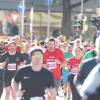 Tausende Menschen sind beim Einstein-Marathon am Sonntag bei bestem Wetter durch Ulm und Neu-Ulm gejoggt. 