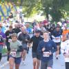 Tausende Menschen sind beim Einstein-Marathon am Sonntag bei bestem Wetter durch Ulm und Neu-Ulm gejoggt. 