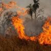 Das Feuer richtet Verwüstung in der gesamten Region an.