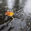 In Hessen startet der Oktober mit unbeständigem Herbstwetter. (Symbolbild)