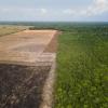 Verbrannte und abgeholzte Flächen wie hier im Amazonas-Gebiet sollen künftig durch das Gesetz verhindert werden. (Archivbild)