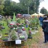 Blumen und Garten-Accessoires fanden beim Auftakt der Herbst- und Gartentage auf Schloss Scherneck viele Abnehmer. 