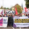 Tausende Menschen demonstrierten am Samstag friedlich gegen den AfD-Parteitag in Ulm.