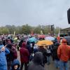 Tausende Menschen demonstrierten am Samstag friedlich gegen den AfD-Parteitag in Ulm.