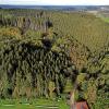 Ein Drittel der Landkreis-Waldfläche besteht aus Wald.