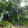 Der deutsche Wald ist einer gründlichen Inventur unterzogen worden