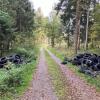 Bei Ertingen im Kreis Biberach wurden wieder haufenweise Altreifen im Wald entsorgt.