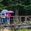 Bis mindestens Montag rechnet der Deutsche Wetterdienst mit Regen in Teilen Bayerns (Archivbild).