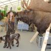 Von Angesicht zu Angesicht mit einem Elch kann man durchaus über die gewaltige Größe der Tiere staunen. Die Messe in Grünau bot auch Safaris und Jagdreisen an.