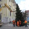 Die Stadt Neuburg sucht Christbäume zur Verschönerung in der Adventszeit.