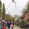 Gartenfans bis aus dem Alpenraum strömten auf die Illertisser Jungviehweide, um sich beim Gartenflohmarkt „Gras und Krempel“ für den bevorstehenden Herbst und eventuell schon mit Frühjahrszwiebeln einzudecken. 