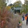 Gartenfans bis aus dem Alpenraum strömten auf die Illertisser Jungviehweide, um sich beim Gartenflohmarkt „Gras und Krempel“ für den bevorstehenden Herbst und eventuell schon mit Frühjahrszwiebeln einzudecken. 