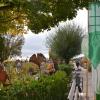 Gartenfans bis aus dem Alpenraum strömten auf die Illertisser Jungviehweide, um sich beim Gartenflohmarkt „Gras und Krempel“ für den bevorstehenden Herbst und eventuell schon mit Frühjahrszwiebeln einzudecken. 