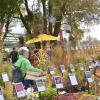 Gartenfans bis aus dem Alpenraum strömten auf die Illertisser Jungviehweide, um sich beim Gartenflohmarkt „Gras und Krempel“ für den bevorstehenden Herbst und eventuell schon mit Frühjahrszwiebeln einzudecken. 