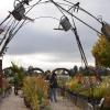 Gartenfans bis aus dem Alpenraum strömten auf die Illertisser Jungviehweide, um sich beim Gartenflohmarkt „Gras und Krempel“ für den bevorstehenden Herbst und eventuell schon mit Frühjahrszwiebeln einzudecken. 