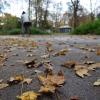 Die Blätter färben sich, es ist Herbst geworden in Augsburg