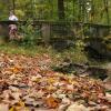 Die Blätter färben sich, es ist Herbst geworden in Augsburg