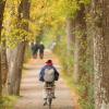 Die Blätter färben sich, es ist Herbst geworden in Augsburg