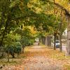 Die Blätter färben sich, es ist Herbst geworden in Augsburg