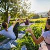 Yoga-Kurse gibt es in Freiburg auch im Weinberg.