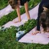 Die Yoga-Stunden mit Ausblick auf die Dächer der Schwarzwaldmetropole sollen im kommenden Jahr fortgesetzt werden.