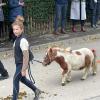 Auch dieses Pony war bei der Tiersegnung in Prettelshofen dabei.