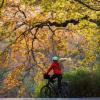 Sicher durch den Herbst: Fahrradfahrer sollten auf passenden Reifendruck, eingeschaltetes Licht und gepflegte Bremsen und Ketten achten.