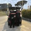 Zwei Beamte der italienischen Carabinieri an ihrem Auto.