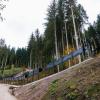 Im Schwarzwald wird ein Hochsicherheitsgehege für die Bärin gebaut.