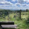 Die Landschaft im Odenwald ist abwechslungsreich. Alle halbe Stunde schaut es anders aus.