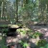 Der Siegfriedbrunnen am Nibelungensteig. Der Steig führt einmal quer durch den Odenwald.