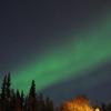 Tanzende Polarlichter erstrahlen am Nachthimmel über Fairbanks.