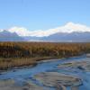 Von dem «Denali Viewpoint South» hat man den perfekten Blick auf den höchsten Berg Nordamerikas. Wenn das Wetter mitspielt.