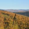 Leuchtende Wälder: Der Indian Summer in Alaska ist ein buntes Naturschauspiel.